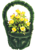Корзины